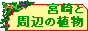 �{��Ǝ��ӂ̐A��