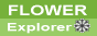 �� flowerExplorer �Ԃ̑��������L���O�����N�W