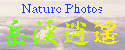 Nature Photos 岳渓逍遥