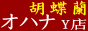 胡蝶蘭ギフト販売OHANAヤフー店