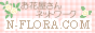 N-FLORA �S�����ԉ�����l�b�g���[�N