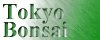東京盆栽